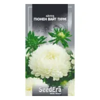 Айстра Високоросла Піонен Вайт Турм (0,25 г)